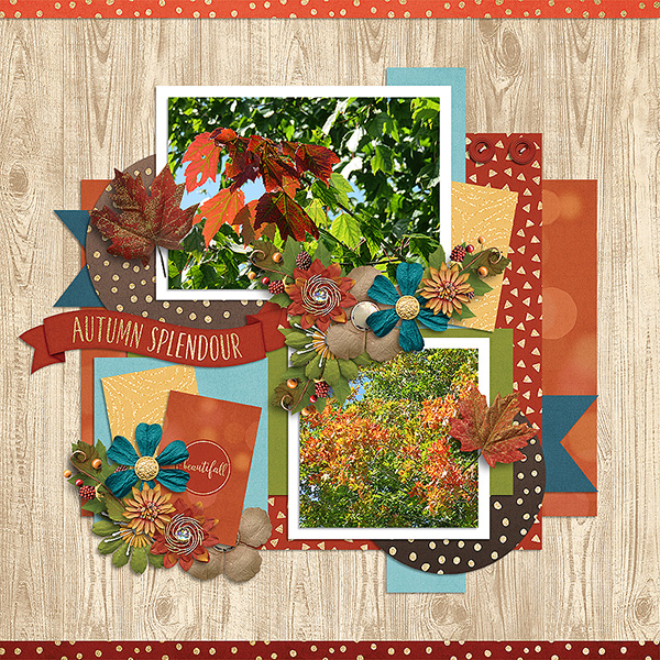 Autumn Splendour