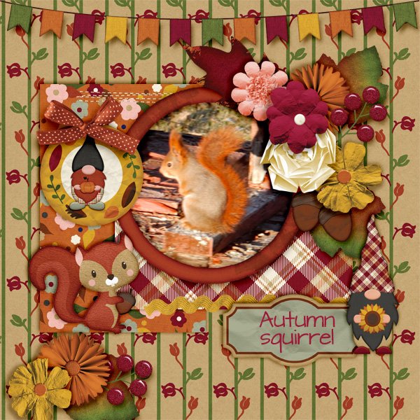Autumn-squirrel.jpg