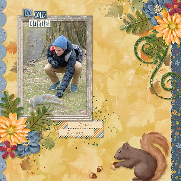 Autumn Squirrel