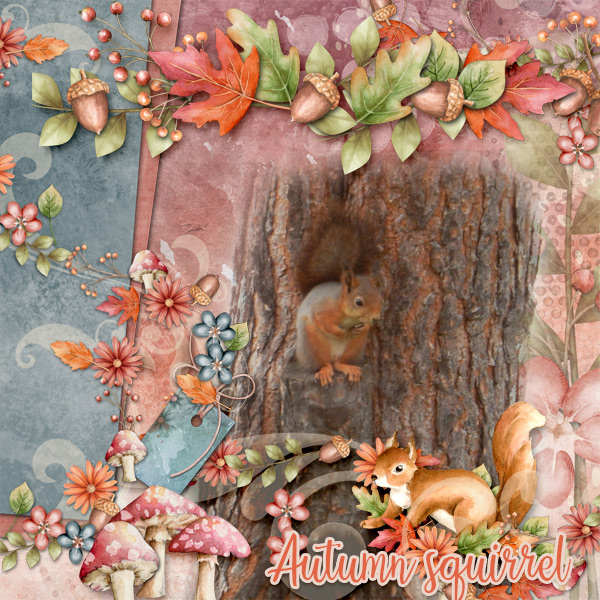 Autumn-squirrel