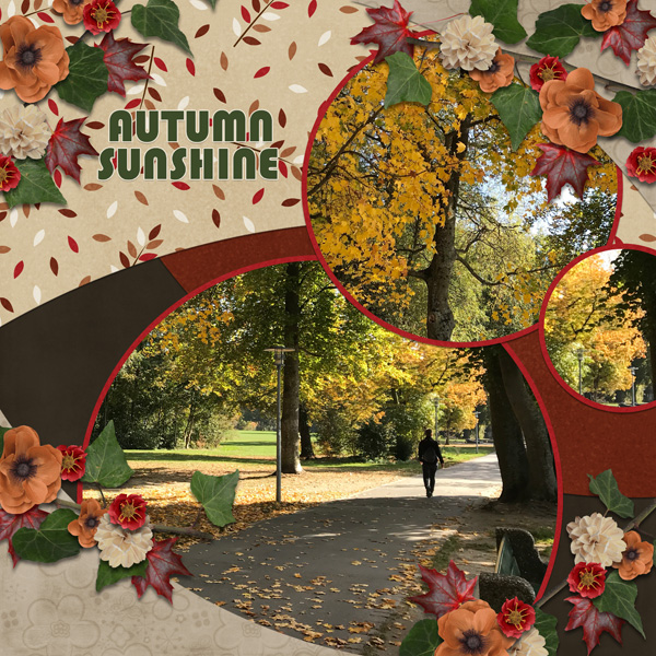 Autumn Sunshine