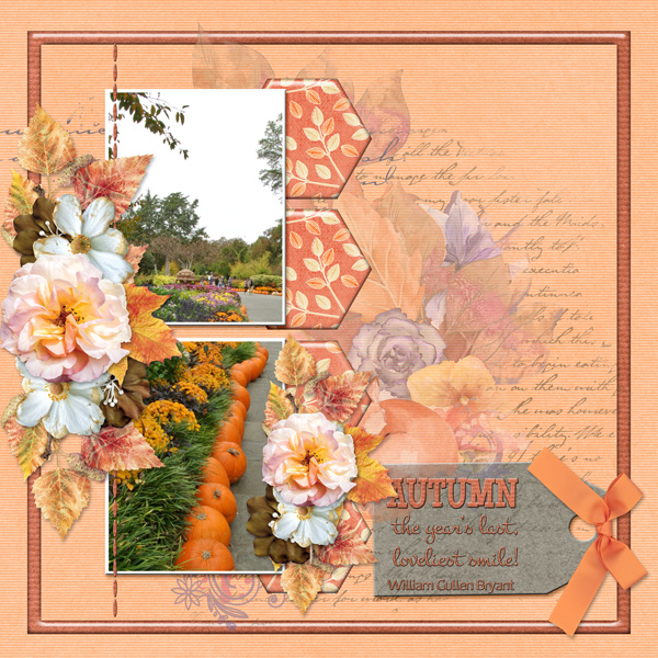 AUTUMN the year's last loveliest smile!