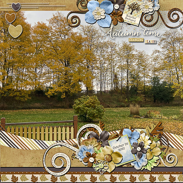 Autumn Time in the Backyard