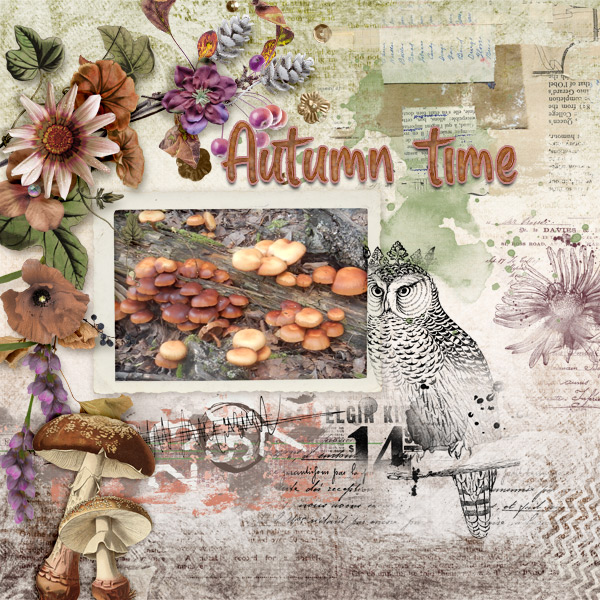 Autumn-time8