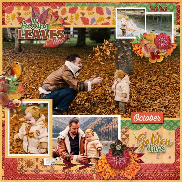 Autumn Treasures
