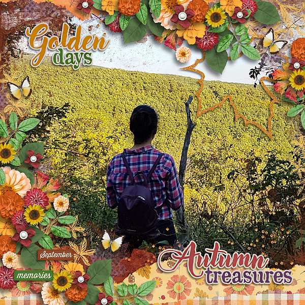 Autumn treasures