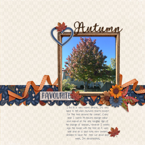 Autumn Tree