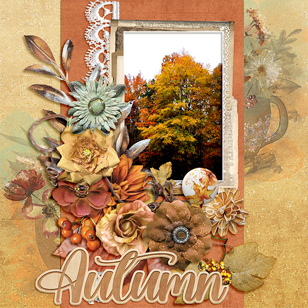 Autumn Tree