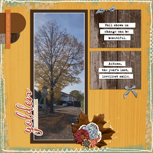 autumn tree