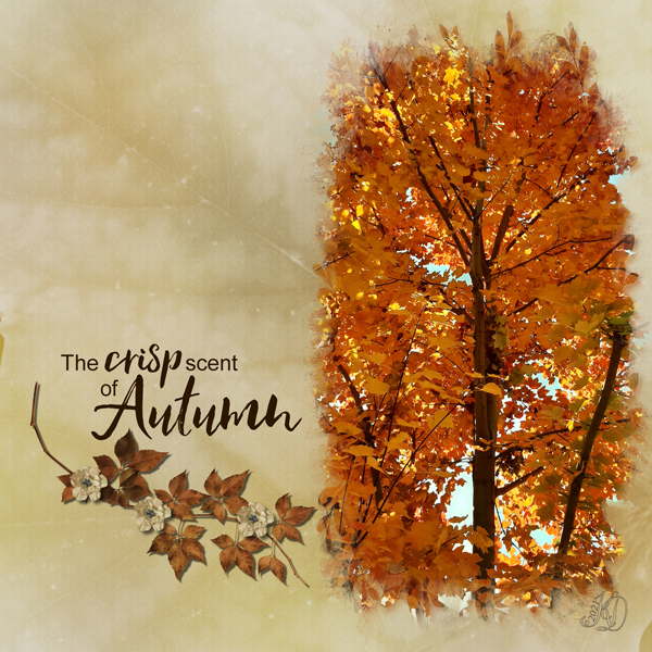Autumn trees at the park