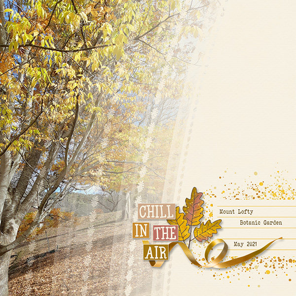Autumn Trees