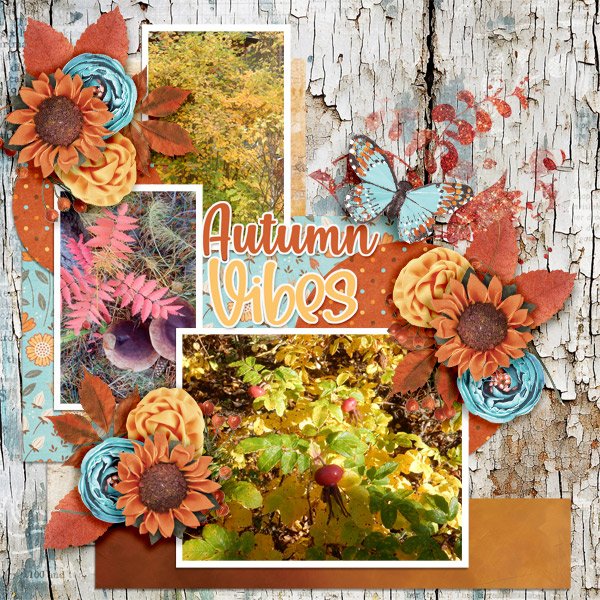 Autumn-vibes.jpg