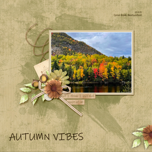Autumn Vibes