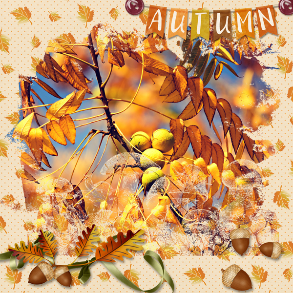 Autumn Vibes