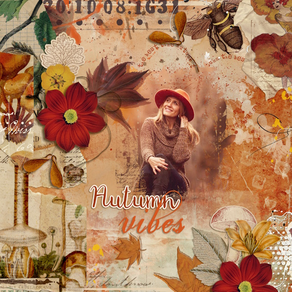 Autumn vibes