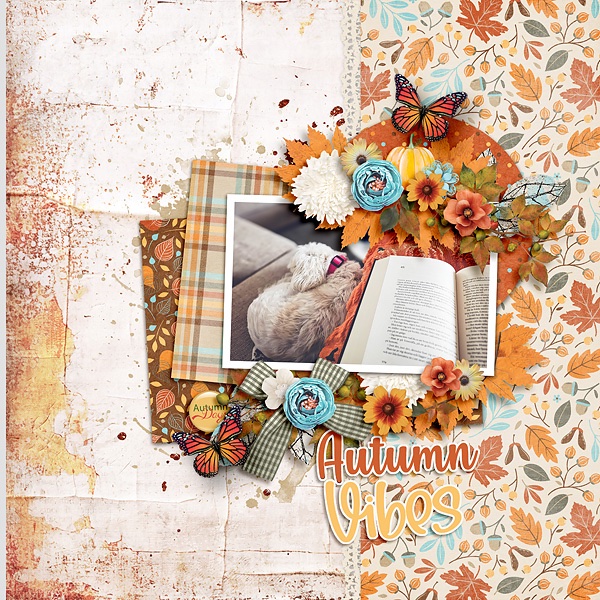 Autumn Vibes