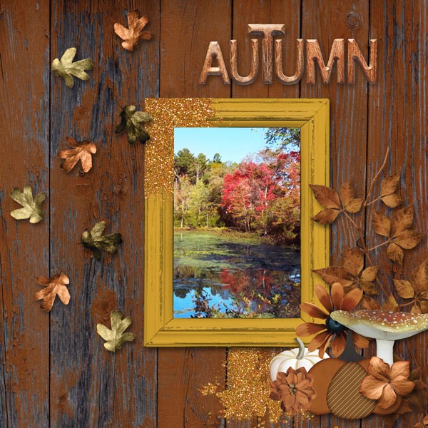 Autumn View
