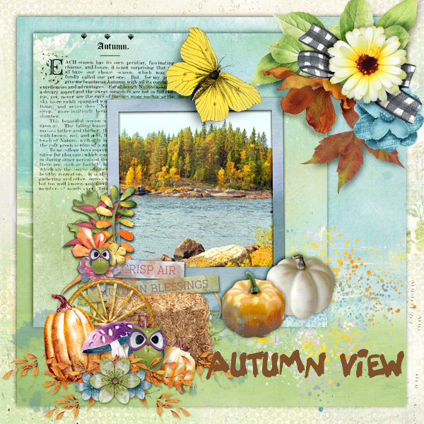 Autumn-view1