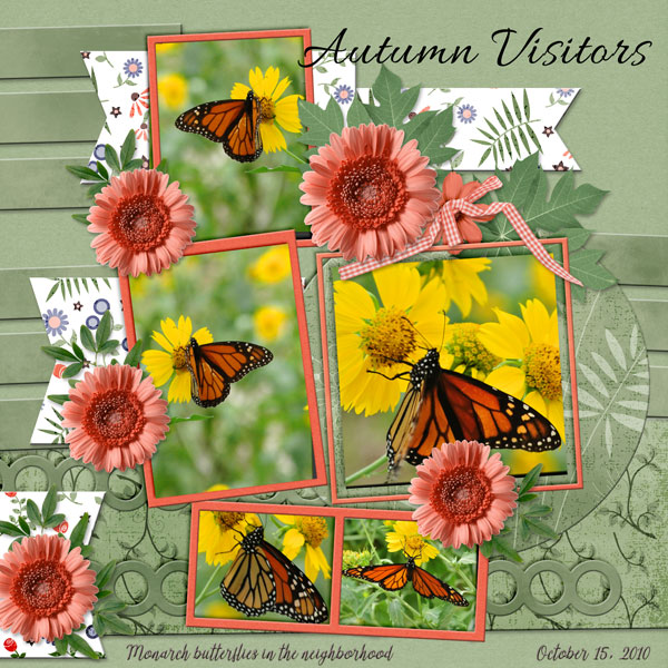 Autumn Visitor