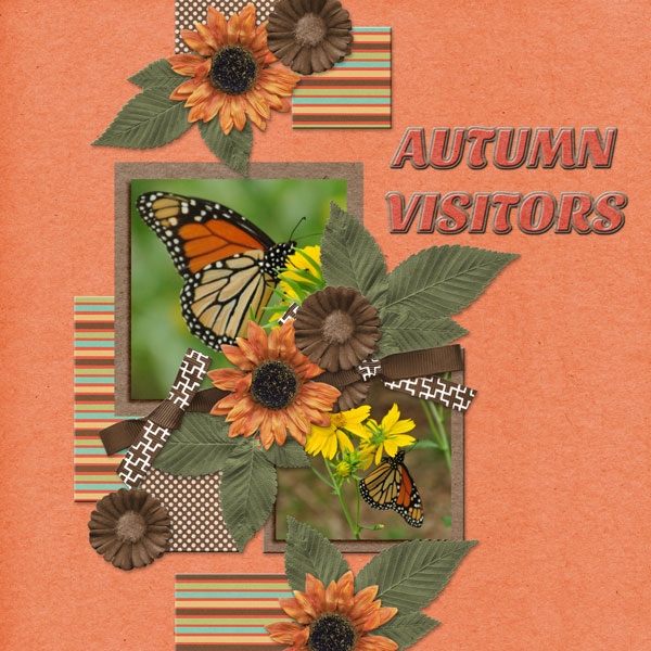 Autumn visitors