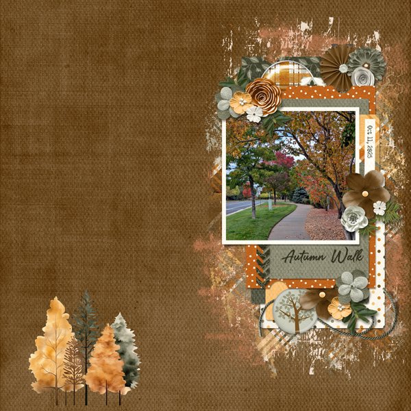 autumn walk 2025