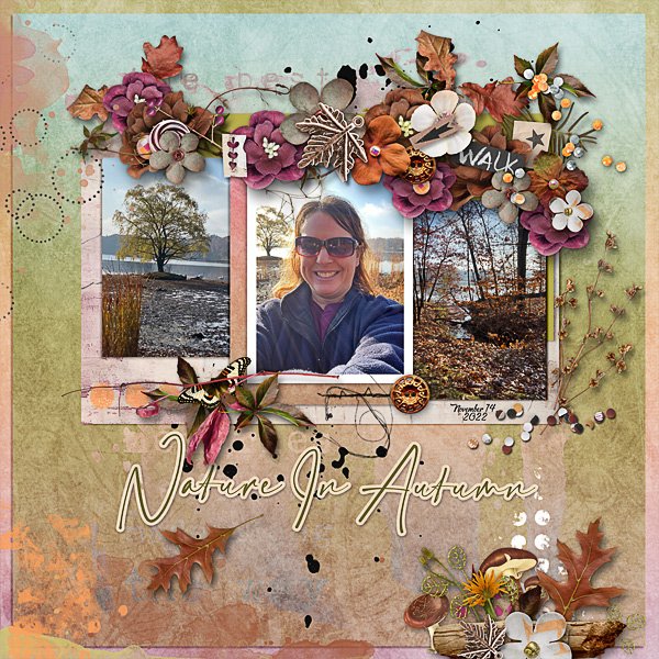Autumn Walk in Nature