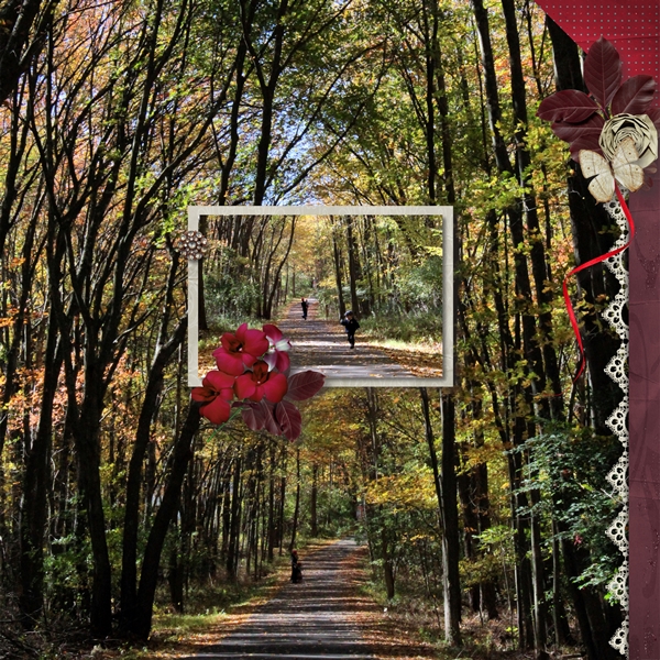 Autumn Walk