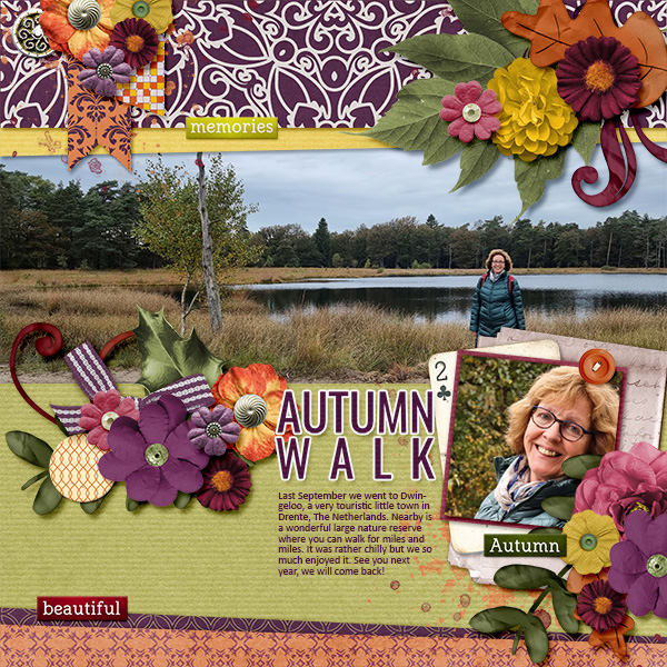 Autumn Walk