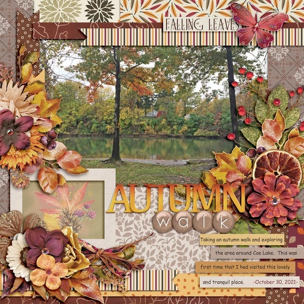 Autumn Walk