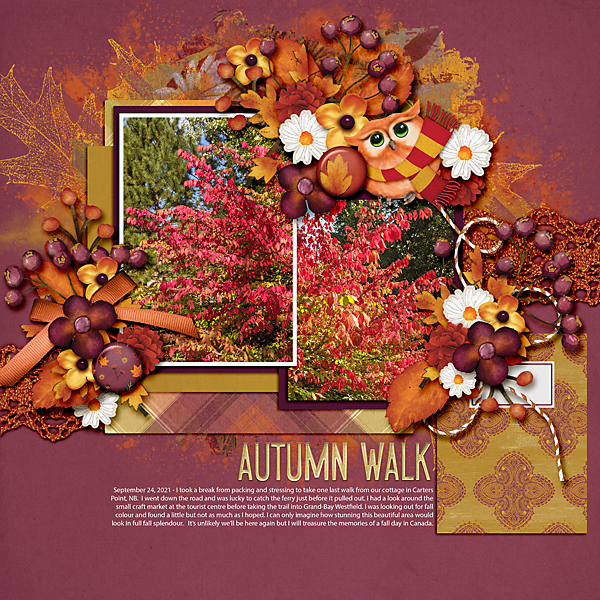 Autumn Walk