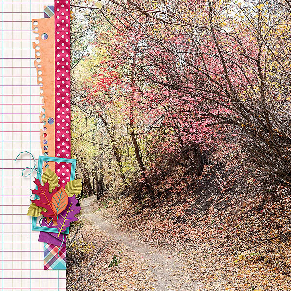 Autumn Walk