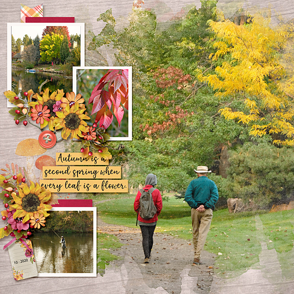 Autumn Walk