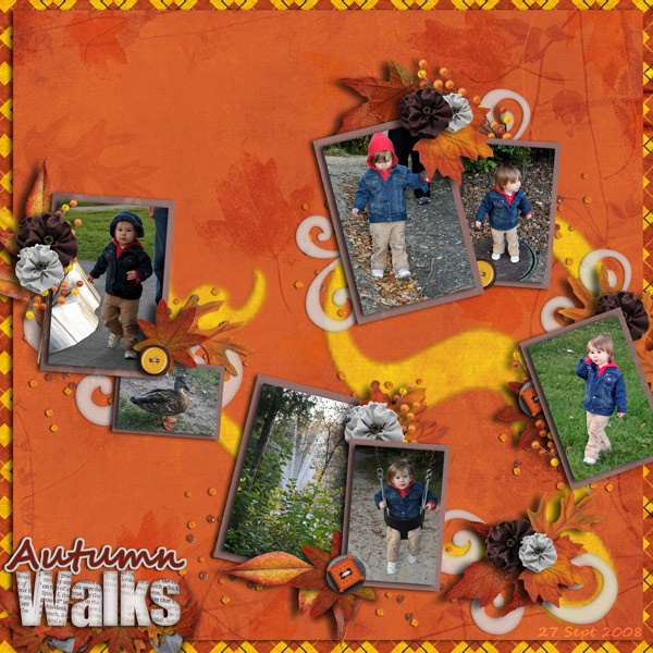 Autumn Walks
