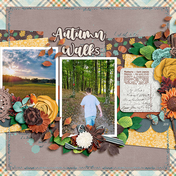 Autumn Walks