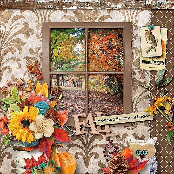 Autumn Window