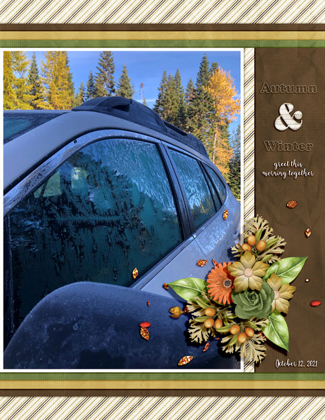 AUTUMN + WINTER