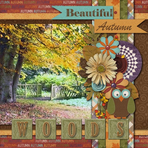 Autumn Woods