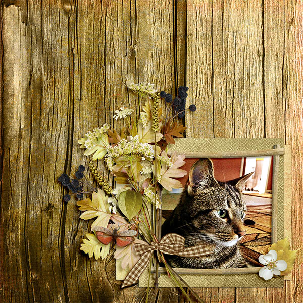 Autumn