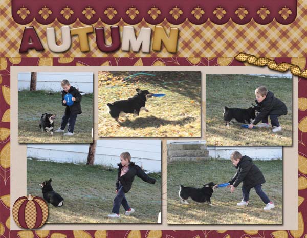 Autumn