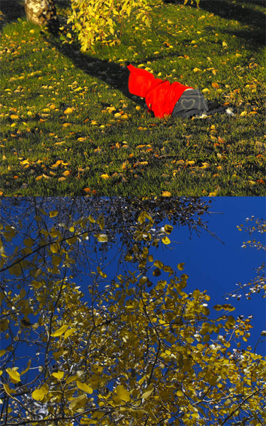 Autumn