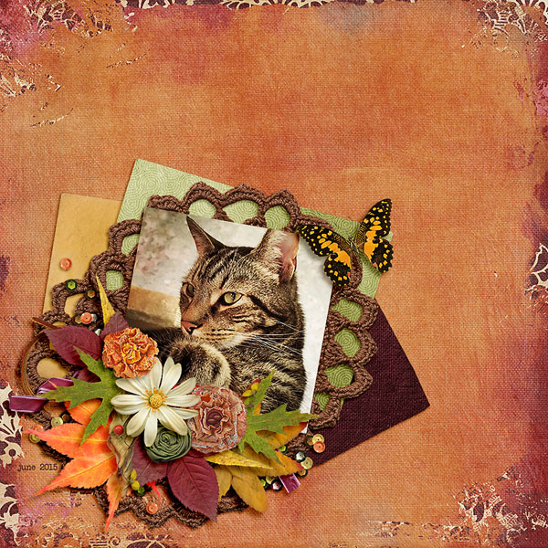 autumn