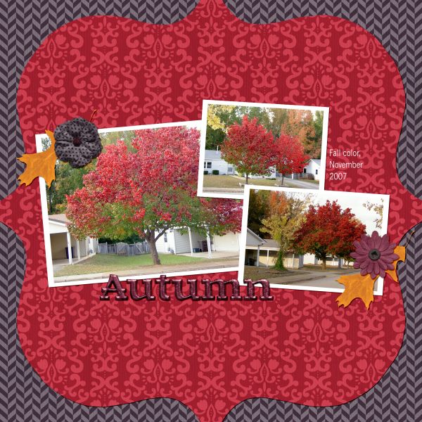 Autumn