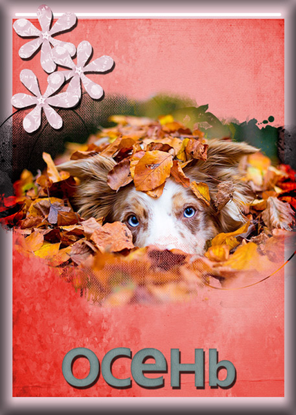 Autumn