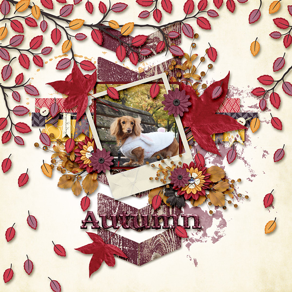Autumn