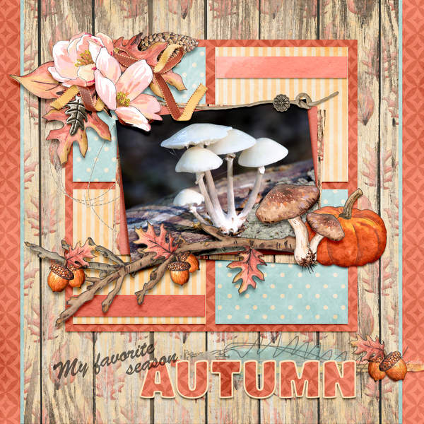 Autumn