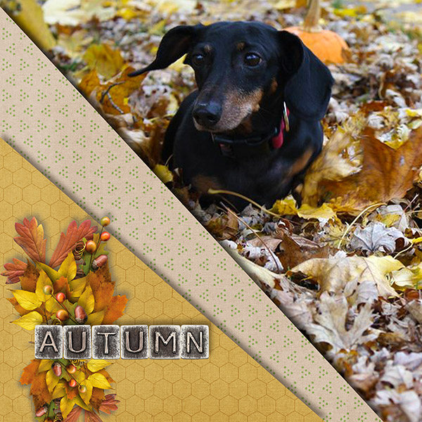 Autumn