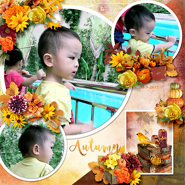 Autumn