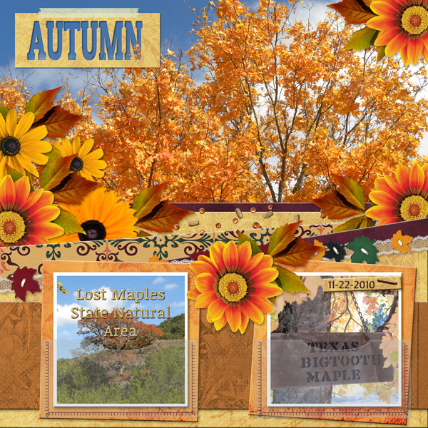 AUTUMN