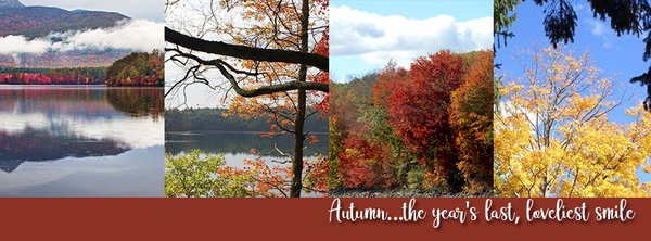 Autumn!
