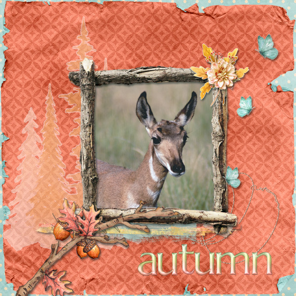 Autumn